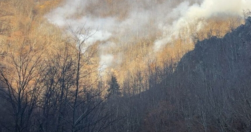 incendiul de vegetatie din valcea care a afectat 12 hectare de padure de fag si stejar a fost localizat 673e056a82c8e