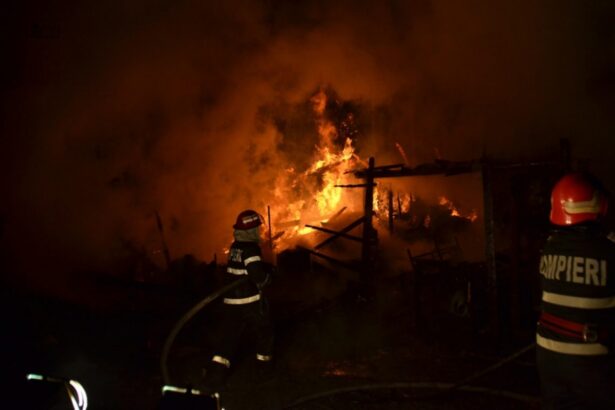 incendiul izbucnit in localitatea 2 mai din judetul constanta a fost lichidat 6737d535d72b3