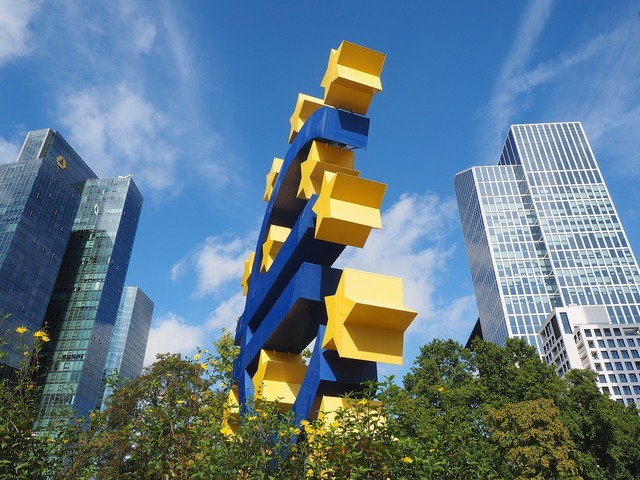 Inflația în zona euro a continuat să crească 1 inflatia in zona euro si a continuat cresterea 67499a7e9b907