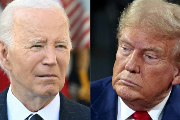 joe biden il va primi pe donald trump la casa alba actualul presedinte a promis un transfer de putere pasnic si ordonat 672fbfbf1828b