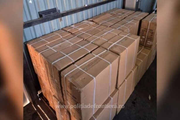 jucarii contrafacute in valoare de peste doua sute de mii de lei descoperite de politistii de frontiera constanteni 6741cedf7a510