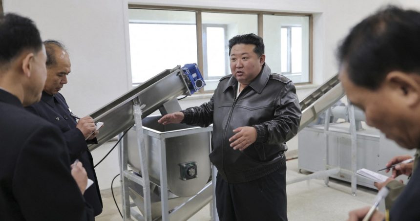 kim jong un a ordonat producerea in masa a dronelor explozive ce spune liderul nord coreean despre acest tip de dispozitiv 673709650fe8c