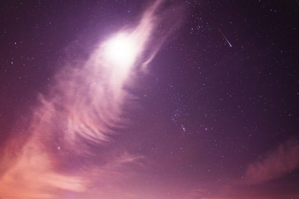 leonidele o noua ploaie de meteori in noiembrie 2024 cand se poate observa pe cer fenomenul astronomic 6736dbac0e115