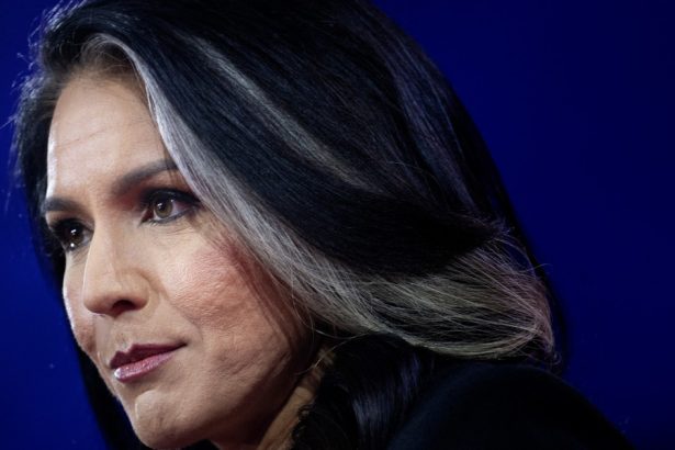 lumea spionajului contrariata de alegerea lui trump pentru sefia serviciilor secrete cine este tulsi gabbard 6736e62d31f21