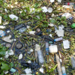 lumea va fi incapabila sa faca fata volumului de deseuri din plastic in 10 ani avertizeaza un expert 674346ffec1dc