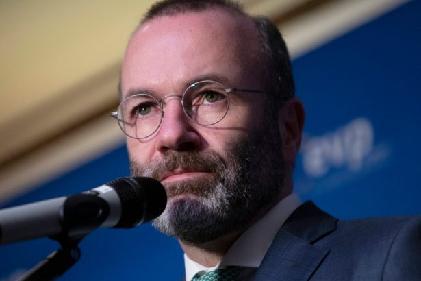 manfred weber dupa audierea roxanei minzatu exista inca intrebari legate de casa ei care trebuie clarificate 6733cdec001c8