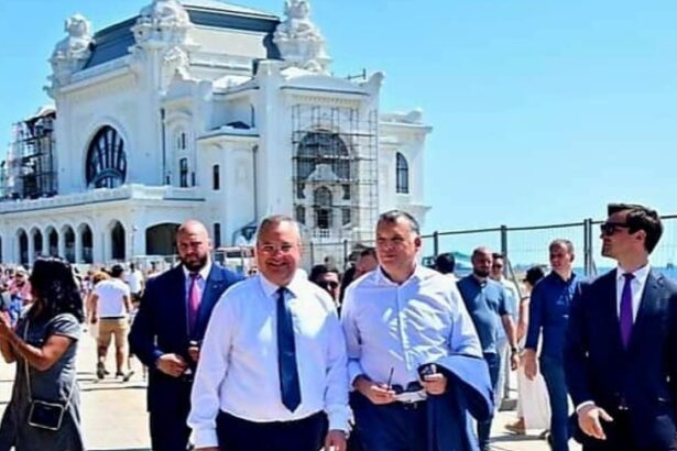 mesajul lui hutuca pnl pentru constanteni un vot pragmatic si util pentru romania este pentru nicolae ciuca 674099a572fab