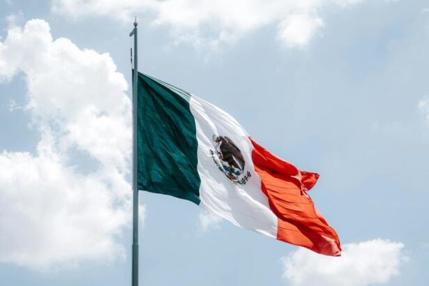 mexic avertizeaza cu masuri de retorsiune in cazul tarifelor propuse de trump 6748d1f950156