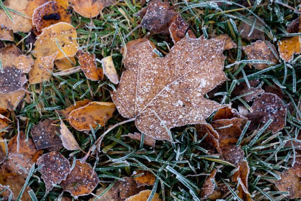 minus 102 grade celsius s au inregistrat in aceasta dimineata la miercurea ciuc ce anunta meteorologii pentru zilele urmatoare 6729ece626cb2