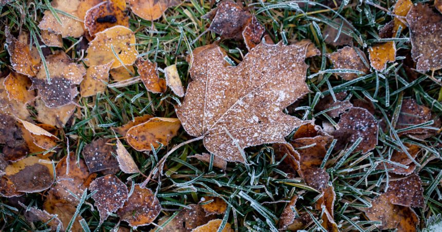 minus 102 grade celsius s au inregistrat in aceasta dimineata la miercurea ciuc ce anunta meteorologii pentru zilele urmatoare 6729ece626cb2