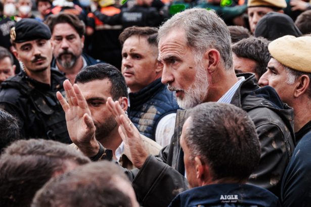 news alert revolta in spania oamenii l au numit asasin pe regele felipe in timp ce aruncau cu noroi si lemne spre el ne ati abandonat 67278c7584834