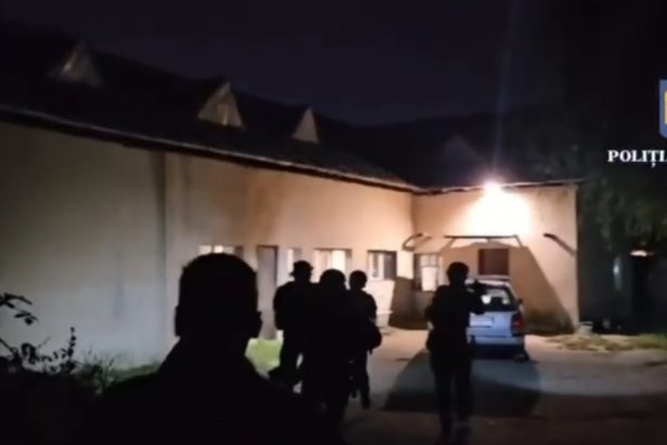 operatiunea ghost guns diicot a gasit arme bani falsi si caini de lupta 66 de persoane sunt cercetate 672a22cdee30f