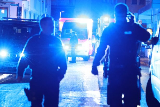opt membri ai unui grup extremist cu idei rasiste si apocaliptice care planuiau o lovitura de stat in germania au fost arestati 6729fb102938a