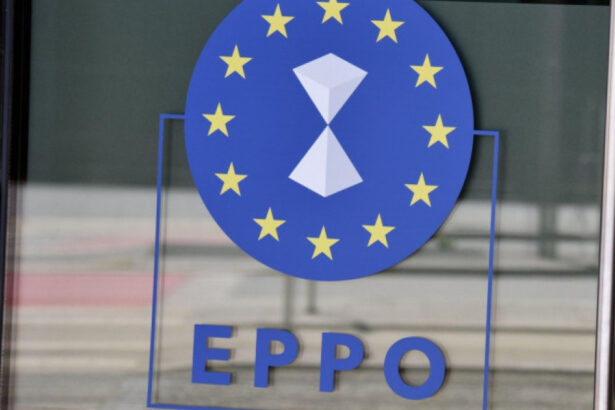parchetul european face perchezitii in judetul maramures intr un dosar de frauda cu subventii in valoare de 2 milioane de euro 673c8d2292eb8