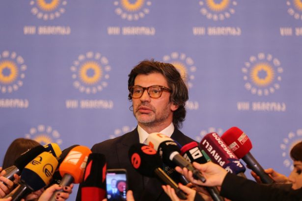 partidul aflat la guvernare in georgia ataca delegatia europeana sosita la tbilisi paraziti care propaga minciuni 67324ac6a0480