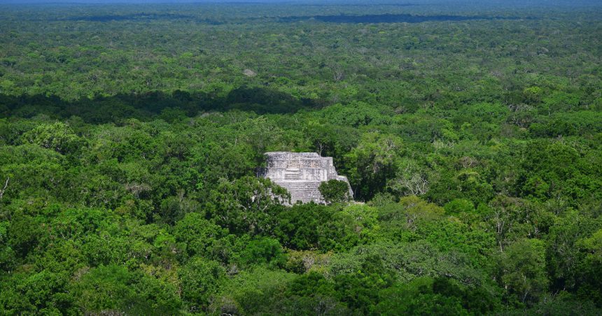 Piramidele din Valeriana: Descoperirea accidentală a unui oraș mayaș antic, ascuns în jungla mexicană 1 piramidele din valeriana descoperirea intamplatoare a unui vechi oras mayas ascuns in jungla mexicana 67285799bb819