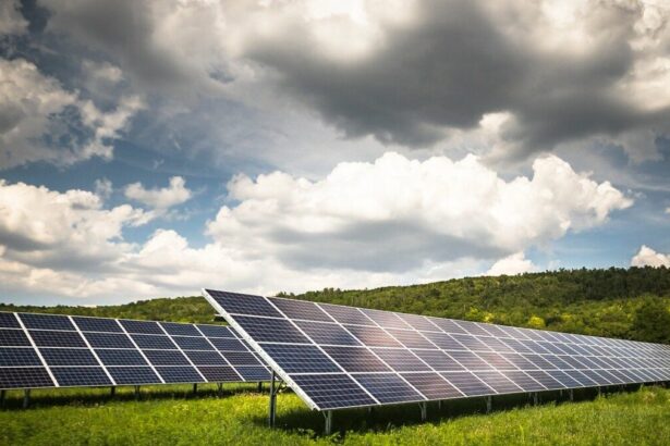 primaria comunei pestera singura din judetul constanta care primeste bani de la ministerul energiei pentru construirea unui parc solar 6747b4646565a