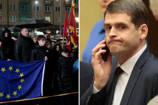 proteste in lituania dupa alianta social democratilor cu un partid condus de un politician judecat pentru antisemitism 67367933735fe