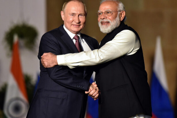 putin planuieste prima vizita in india de la declansarea razboiului aceasta nu este membra a curtii penale internationale 673df758658e7