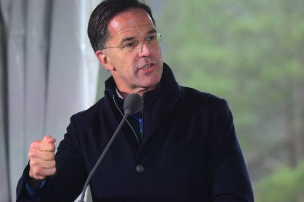 putin va folosi iarna ca pe o arma mark rutte cere statelor membre nato ajutor suplimentar pentru ucraina 67363d7b903d2