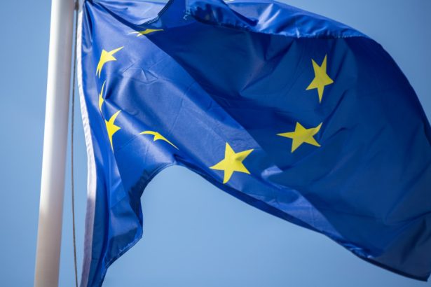 reactiile liderilor ue dupa anuntarea rezultatului alegerilor prezidentiale din republica moldova 6728aa6497c2d