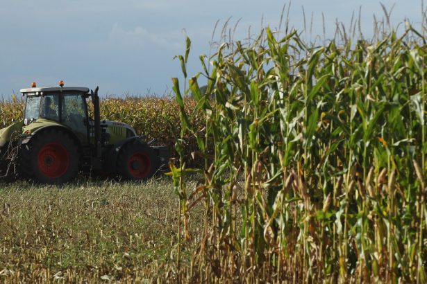 romania a fost al saptelea producator agricol din uniunea europeana anul trecut 673586b0cc03d