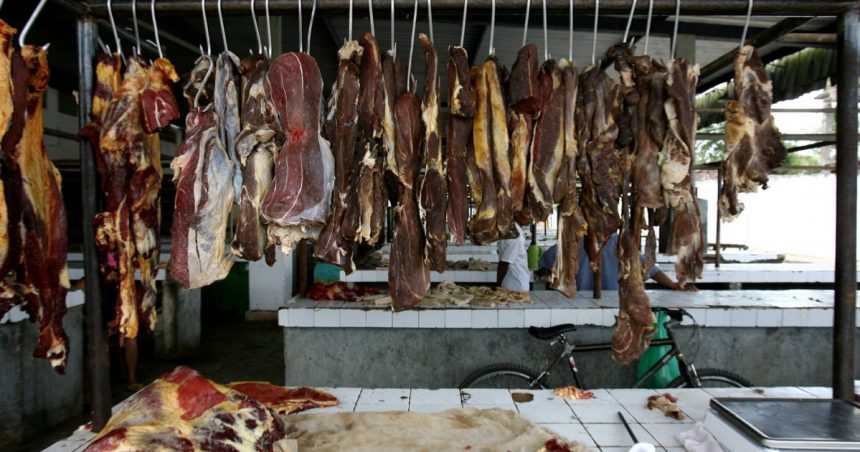 Scandalul cărnii de vită cu hormoni din Brazilia pe piața UE. Avertismentul unei organizații guvernamentale 1 scandalul carnii de vita cu hormoni din brazilia de pe piata ue semnalul de alarma tras de o organizatie guvernamentala 6734764f6aca7