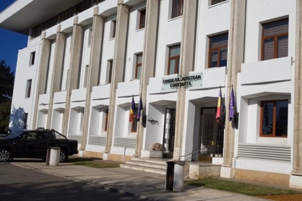 sedinta online la consiliul judetean pentru ca se numara voturile de la prezidentiale mitroi il mentine pe filipescu in stadiul de vicepresedinte propus momentan video 6749be1d15db0