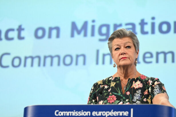 sefa migratiei din ue a tras un semnal de alarma cu privire la vizele rusesti care ar fi amenintarile la securitatea uniunii europene 673f9370c5042