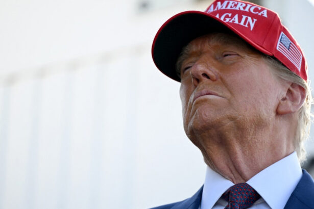 stim cine sunteti si venim dupa voi marea deportare din 2025 promisa de trump ar transforma fenomenul imigratiei in toata lumea 673ecdcd5d887