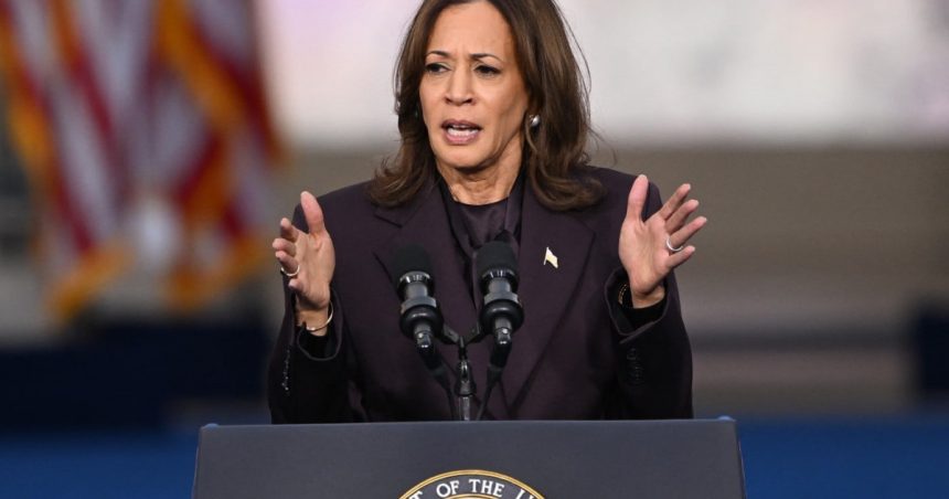 stiu de ce a pierdut kamala harris observatiile unui voluntar din echipa democratei 672f6205b911a