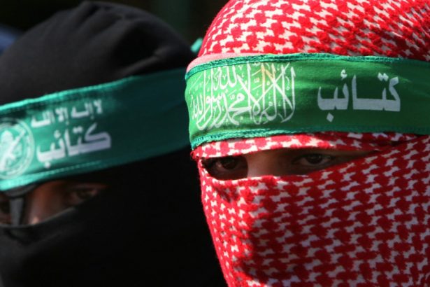 teroristii hamas anunta ca vor armistitiu in fasia gaza si ii cer ajutorul lui donald trump 673764bd54ca2