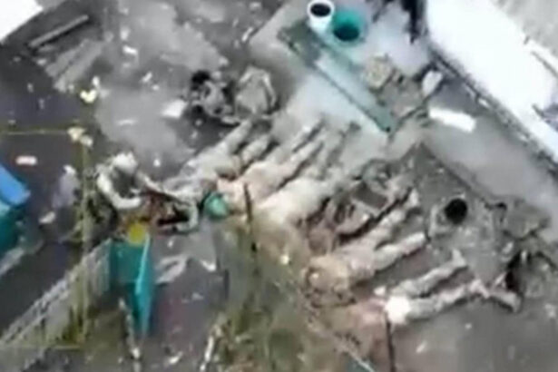 ucraina acuza ca rusii au executat cinci soldati ucraineni care s au predat i au fortat sa se intinda la pamant 6746d3c05a329