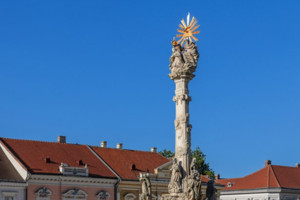 un barbat a amenintat ca va sparge cu barosul statuile din timisoara pentru ca nu sunt romanesti ce a facut politia 6744d23500fff