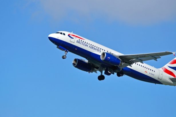 un pilot de la british airways a murit intre doua zboruri pe insula sfanta lucia totul s a intamplat in fata turistilor 672bbb8fd8ae4