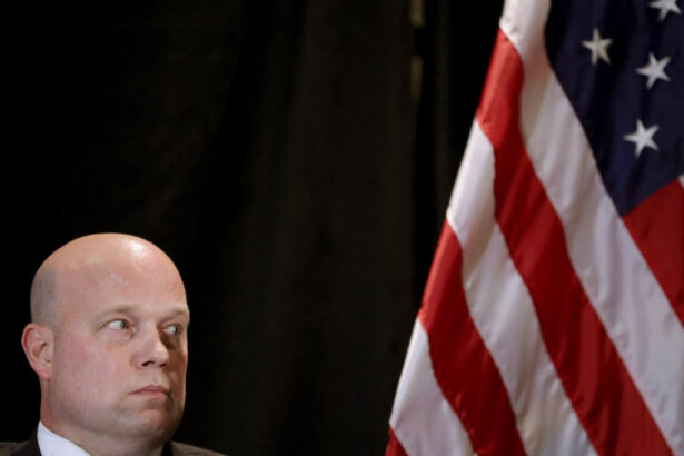 un razboinic solid si un patriot fidel trump l a nominalizat pe matthew whitaker in postul de ambasador al sua la nato 673e573451a5a
