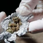 Unul dintre indivizii care au acționat ca-n filmele cu mafioți în Valea Cernei, împreună cu un fiu de politician din Constanța, a fost achitat de prima instanță, dar condamnat în urma apelului. 3 unul dintre indivizii care au actionat ca n filmele cu mafioti in valea cernei alaturi de un fiu de politician din constanta a fost achitat de prima instanta dar condamnat la apel 6748f785c8949