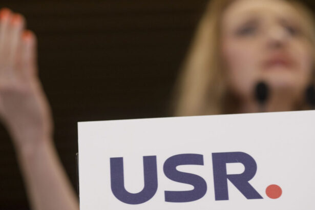 usr contesta la curtea de apel bucuresti decizia bec de renumarare a voturilor pentru primul tur al alegerilor prezidentiale 6749a308e0097