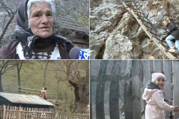 video campania electorala nu a ajuns in catunele din munti n am stiut oamenii nevoiti sa mearga doua ore prin padure pana la urne 674305196a673