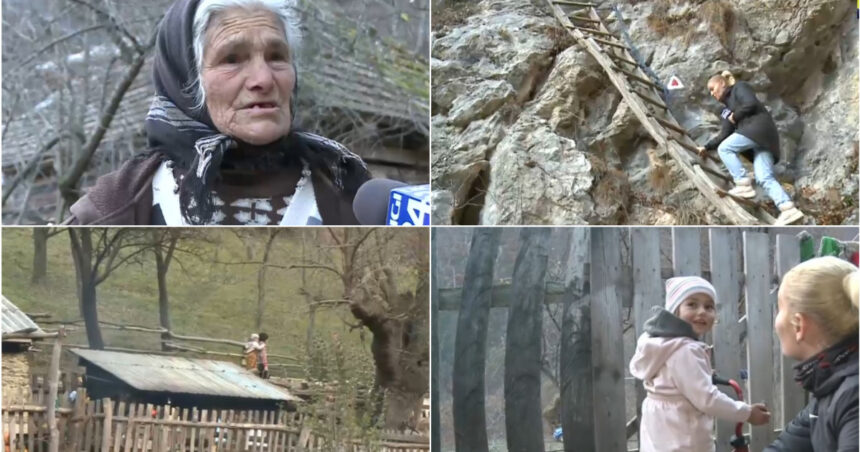 video campania electorala nu a ajuns in catunele din munti n am stiut oamenii nevoiti sa mearga doua ore prin padure pana la urne 674305196a673