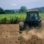 video criza de specialisti in agricultura solutia gasita de antreprenori si ce salarii le propun viitorilor lor colegi credem in tineri 67319d29b8ba9