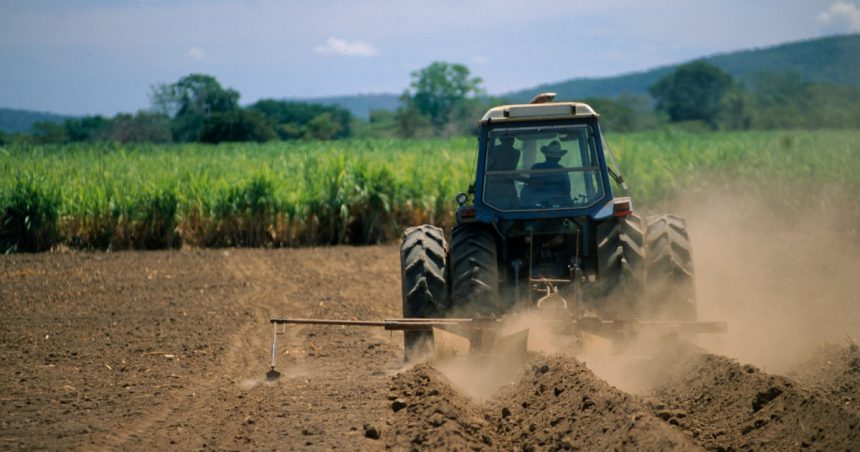 Criză de specialiști în agricultură: Soluțiile identificate de antreprenori și salariile oferite viitorilor colegi: „Credem în tineri” 1 video criza de specialisti in agricultura solutia gasita de antreprenori si ce salarii le propun viitorilor lor colegi credem in tineri 67319d29b8ba9