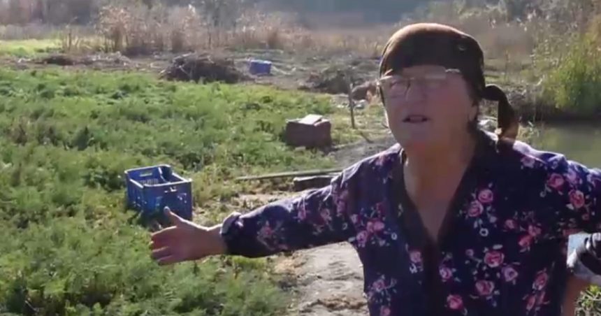 Cum este primită Legea Mărarului în sate: „Făcuse toate legile din lume, le dăduse pe toate bune, rămăsese asta nefăcută. Nu e corect.” 1 video cum e intampinata legea mararului in sate facuse toate legile din lume le daduse pe toate bune ramasese asta nefacuta nu e corect 67309681a1df2