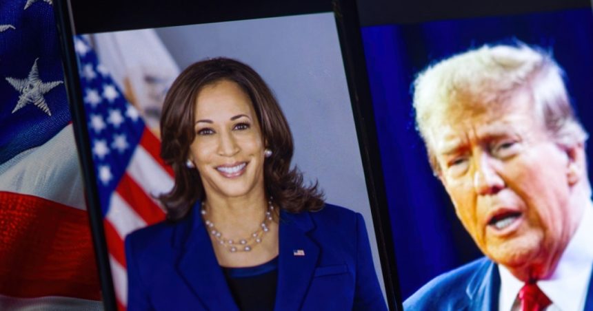 Alegeri SUA 2024: Trump sau Harris? Ce implicații are scrutinul pentru România - Corespondență Digi 24 de la Washington 1 video exclusiv alegeri sua 2024 trump sau harris ce implicatii are scrutinul pentru romania corespondenta digi 24 de la washington 6729b6fb01049