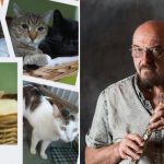 Ian Anderson, solistul trupei britanice Jethro Tull, sprijină pisicile fără stăpân din Oradea. „A fost o mare surpriză” 3 video ian anderson solistul trupei britanice jethro tull ajuta pisicile fara stapan din oradea a fost o mare surpriza 6730abfdacf46