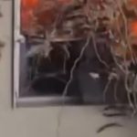 video incendiu puternic intr un bloc din sectorul 3 al capitalei doua persoane au fost evacuate 6737106f516c6