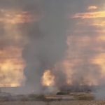 video incendiu urias in delta neajlovului din giurgiu 6727906fe5184