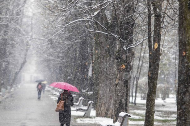 video prima ninsoare in capitala din acest sezon meteorologii anunta cum va fi vremea pana la finalul saptamanii viitoare 673313b25d02f