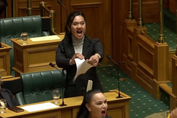 video protest haka in parlamentul noii zeelande membrii maori intrerup votul pe un proiect de lege ce ameninta drepturile indigene 67373e1bc07da