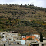 17 persoane, dintre care 14 membri ai Ministerului de Interne din Siria, au fost uciși într-o ambuscadă în provincia Tartous. 3 17 oameni intre care 14 membri ai ministerului de interne din siria au fost ucisi intr o ambuscada in provincia tartous 676d07e5494c9